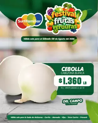 Surtifamiliar (válido hasta 8-08)