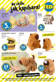 Tedi gazetka Strona 19