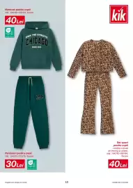 Catalog Kik săptămâna 33 Pagină 13
