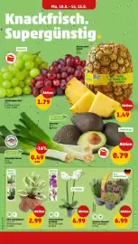 PENNY Prospekt woche 33 Seite 2