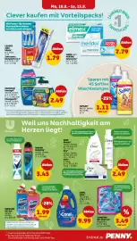 PENNY Prospekt woche 33 Seite 19