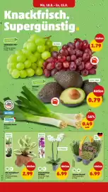 PENNY Prospekt woche 33 Seite 2