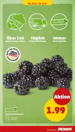 PENNY Prospekt woche 33 Seite 29