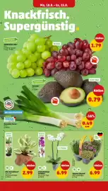 PENNY Prospekt woche 33 Seite 2