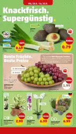 PENNY Prospekt woche 33 Seite 2