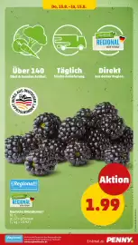 PENNY Prospekt woche 33 Seite 29