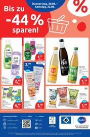 Budni Prospekt woche 34 Seite 8