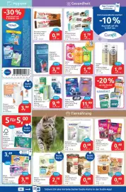 Budni Prospekt woche 34 Seite 5