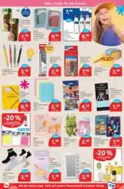 Budni Prospekt woche 34 Seite 7
