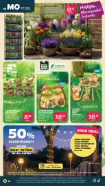 Netto Prospekt woche 34 Seite 18