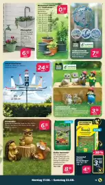 Netto Prospekt woche 34 Seite 19