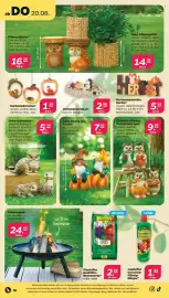 Netto Prospekt woche 34 Seite 20