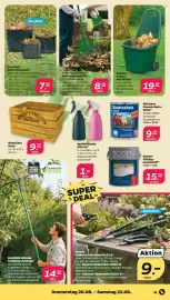 Netto Prospekt woche 34 Seite 21