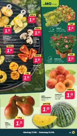 Netto Prospekt woche 34 Seite 3