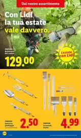 Volantino Lidl | Offerte Speciali Pagina 24: PARKSIDE Set pennelli €4,99, PARKSIDE Attrezzo da giardinaggio €2,50