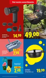 Volantino Lidl | Offerte Speciali Pagina 25: Decorazioni Led a energia solare €2,49