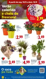 Folheto Lidl semana 33 Página 40