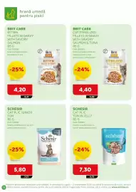 Magazine Animax Pagină 13: Brit care kitten fillets in gravy with savory salmon €4,20