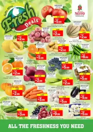 Nesto catalogue Page 2