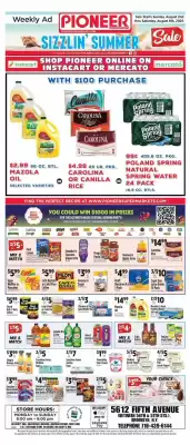 Pioneer (valid until 8-08)