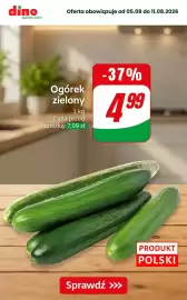Dino gazetka Strona 7