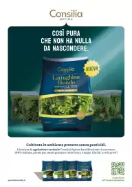 Volantino Supermercati Gulliver Pagina 65