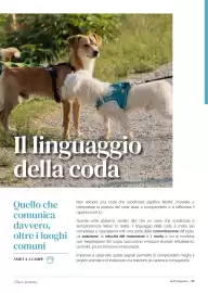 Volantino Supermercati Gulliver Pagina 84