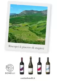 Volantino Supermercati Gulliver Pagina 85