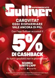 Volantino Supermercati Gulliver Pagina 99