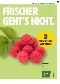 Eurogast Grissemann Flugblatt Seite 5