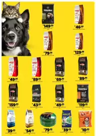 Catálogo DB Supermercados Página 10