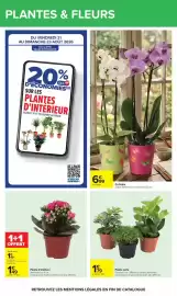 Catalogue Carrefour Drive page 66