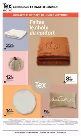 Catalogue Carrefour Drive page 15: Coussin €14,99, Le plaid 130 x 170 cm €8,99