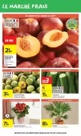 Catalogue Carrefour Drive page 18: Concombre €1,95, Prune reine claude €3,69