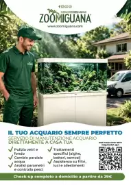 Volantino Zoomiguana Pagina 13
