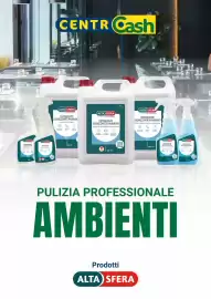 Volantino Centro Cash Pagina 12
