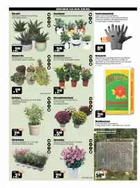 V Baumarkt Prospekt woche 33 Seite 2