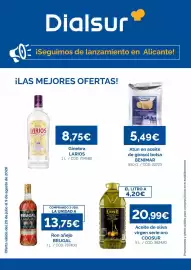 Folleto Dialsur Cash & Carry Página 1