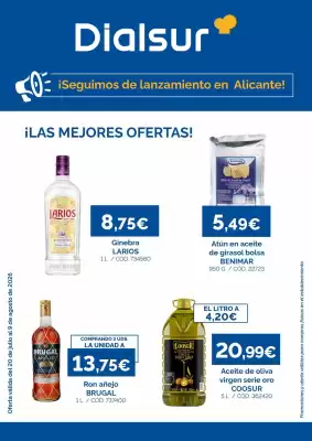 Folleto Dialsur Cash & Carry