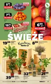 Netto gazetka Strona 7