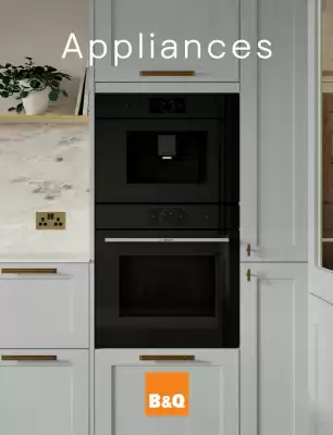 B&Q (valid until 2-01)