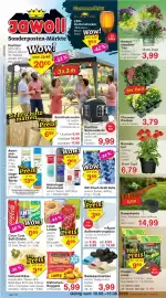 Jawoll Prospekt woche 33 Seite 1