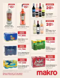 Catálogo Makro Página 17