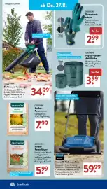 Aldi Süd Prospekt woche 35 Seite 8
