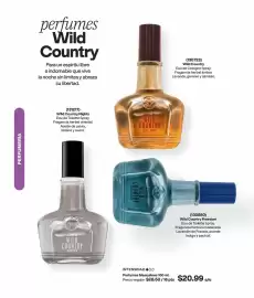Catálogo AVON Página 101