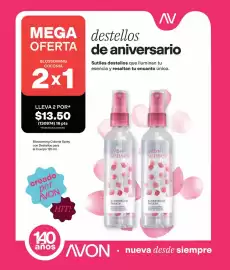 Catálogo AVON Página 13