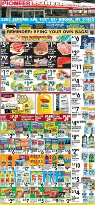 Pioneer (valid until 13-08)
