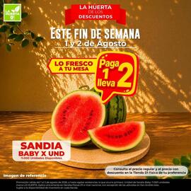 Catálogo Tiendas D1 Página 8