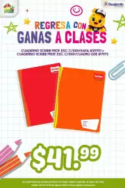 Folleto Guajardo semana 32 Página 1: Scribe cuaderno profesional €41,99