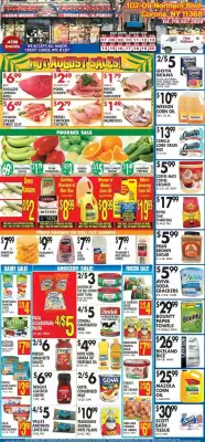 Pioneer (valid until 20-08)
